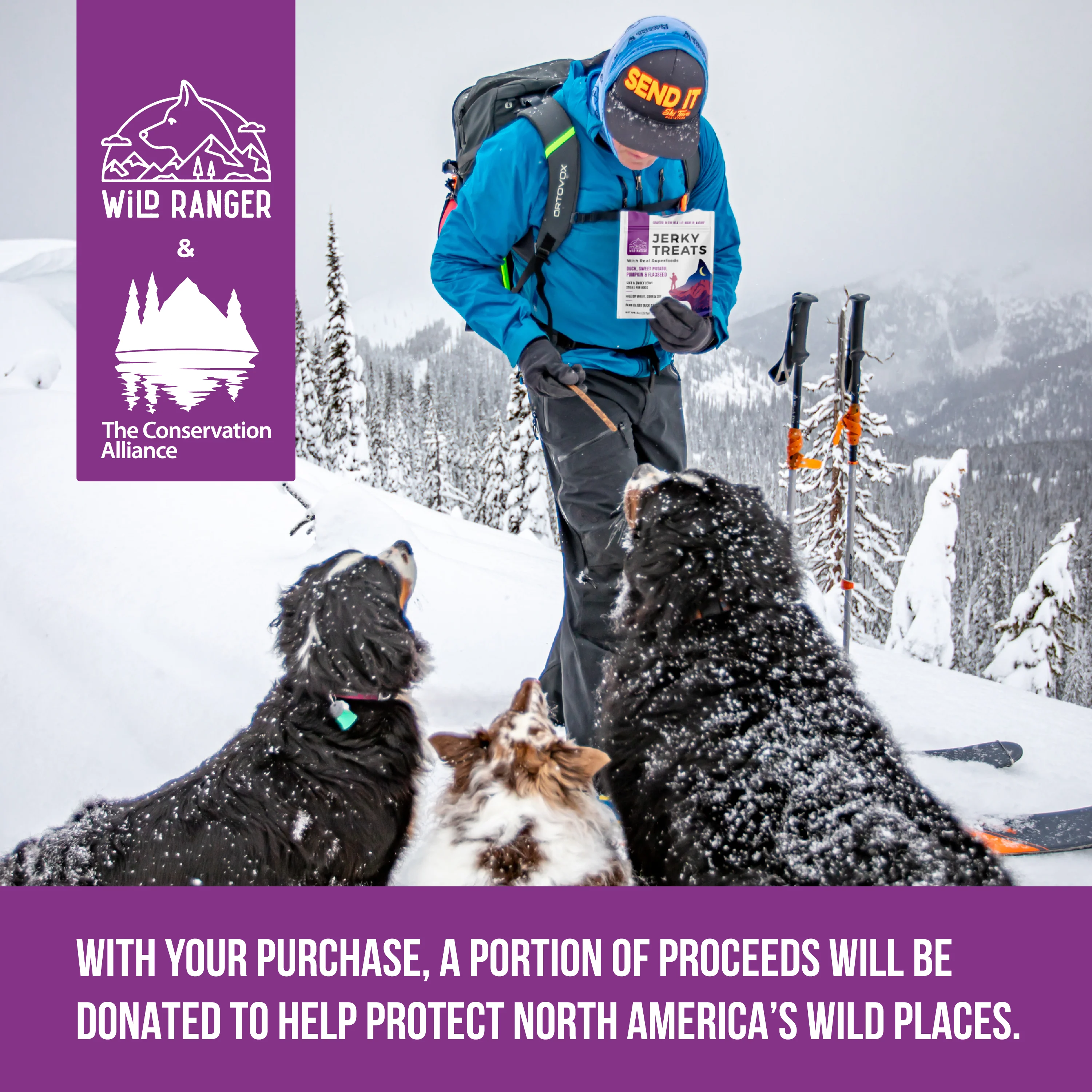 Wild Ranger Duck & Superfoods Jerky Dog Treats (8oz) - Image 5